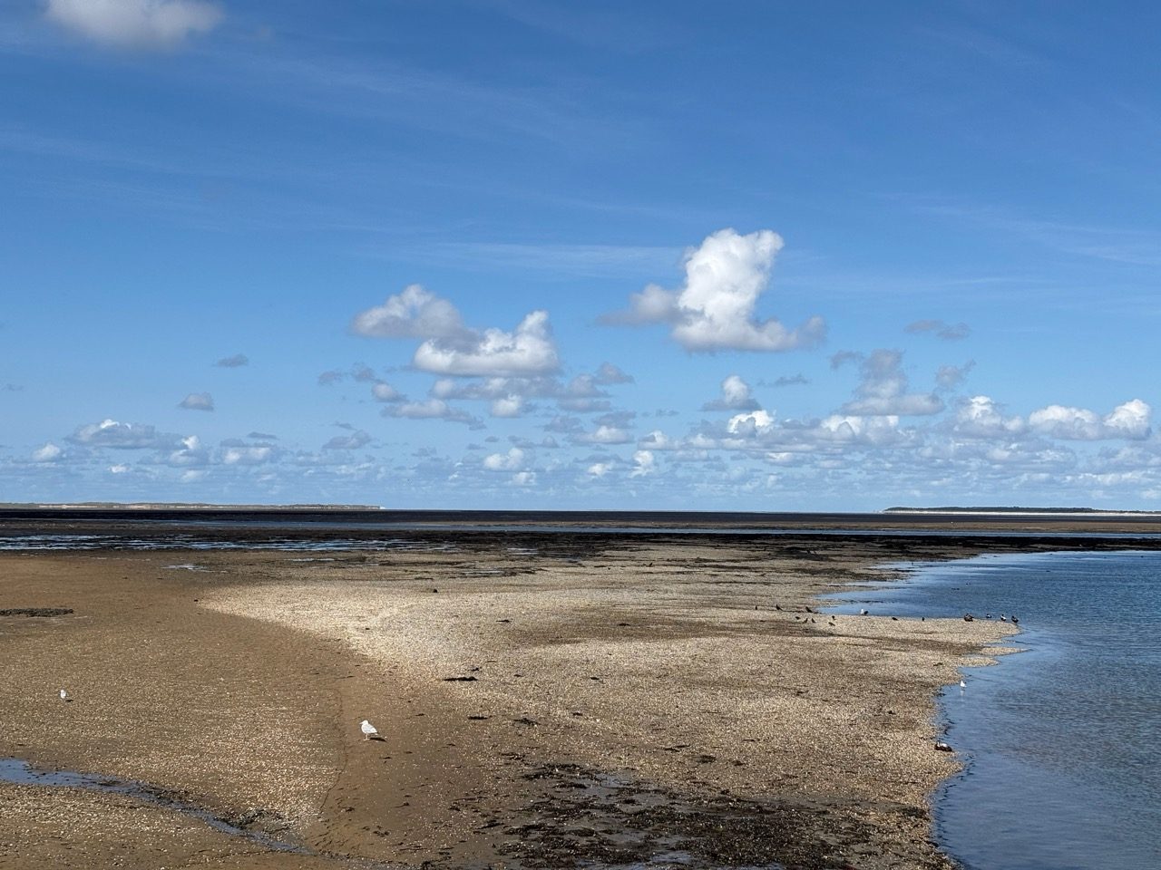 Fahrradtour Amrum: Amrum-Rundtour: Einmal um die Insel – vom Fähranleger über Steenodde, Nebel und Norddorf zum Leuchtturm