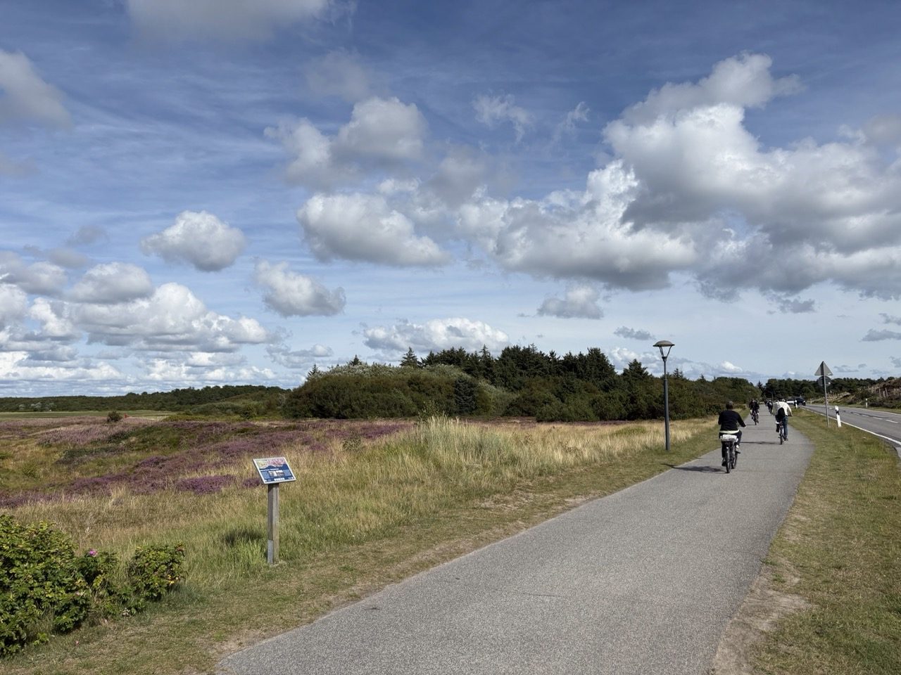Fahrradtour Amrum: Amrum-Rundtour: Einmal um die Insel – vom Fähranleger über Steenodde, Nebel und Norddorf zum Leuchtturm