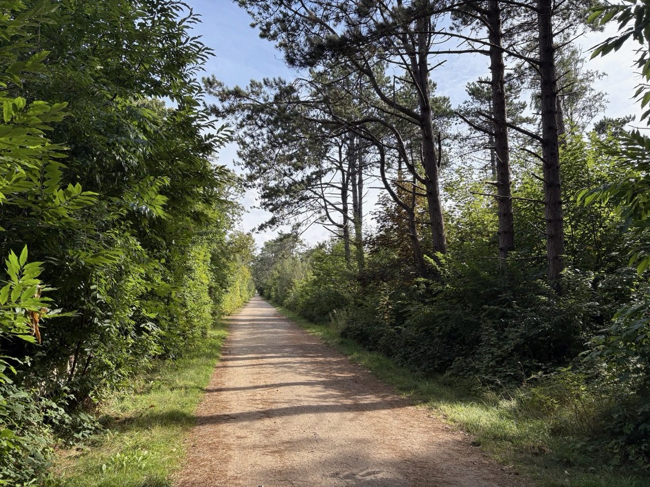 Fahrradtour Amrum: Amrum-Rundtour: Einmal um die Insel – vom Fähranleger über Steenodde, Nebel und Norddorf zum Leuchtturm