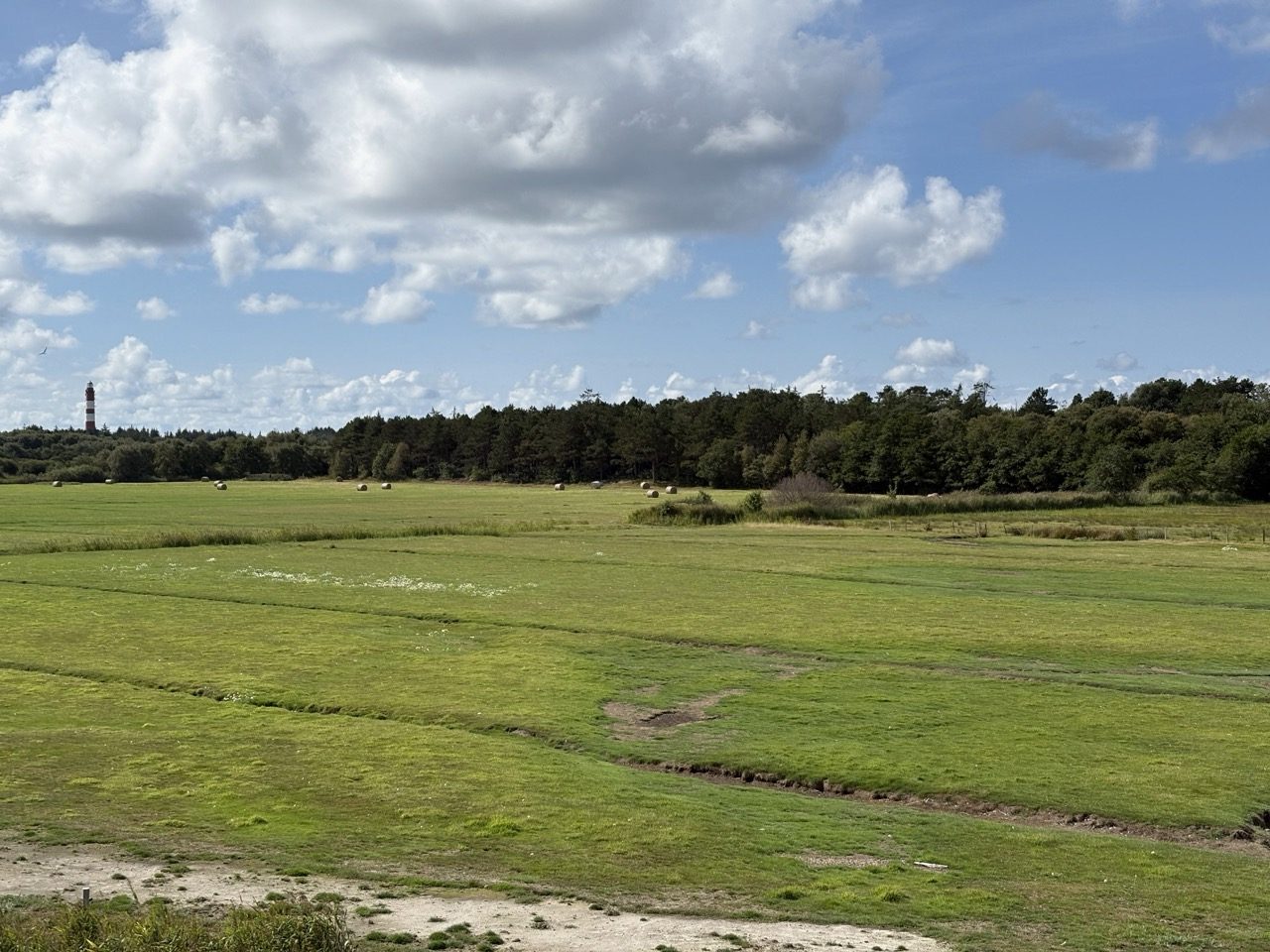Fahrradtour Amrum: Amrum-Rundtour: Einmal um die Insel – vom Fähranleger über Steenodde, Nebel und Norddorf zum Leuchtturm