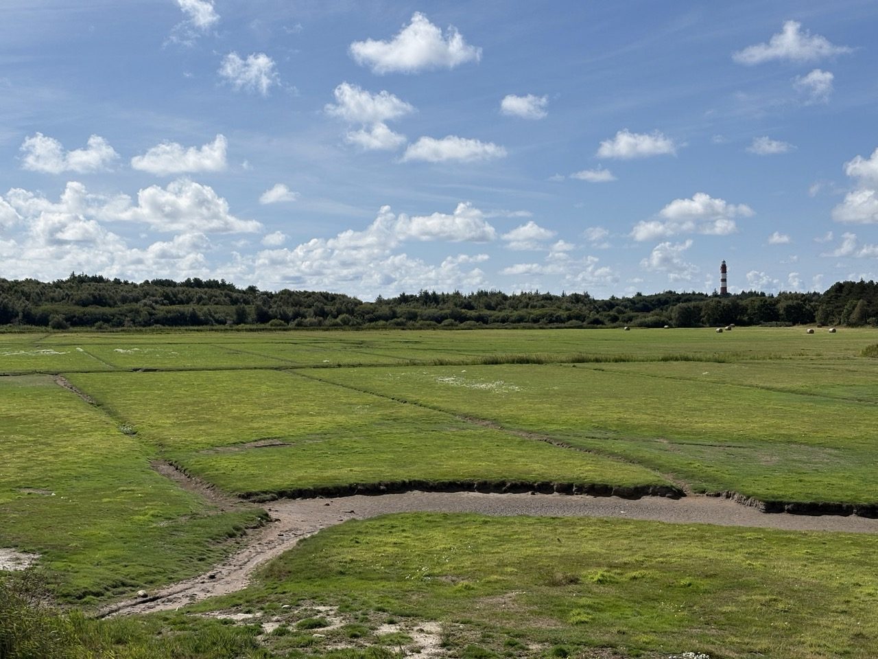 Fahrradtour Amrum: Wattseiten-Tour: Von Süddorf über Steenodde am Deich entlang nach Wittdün