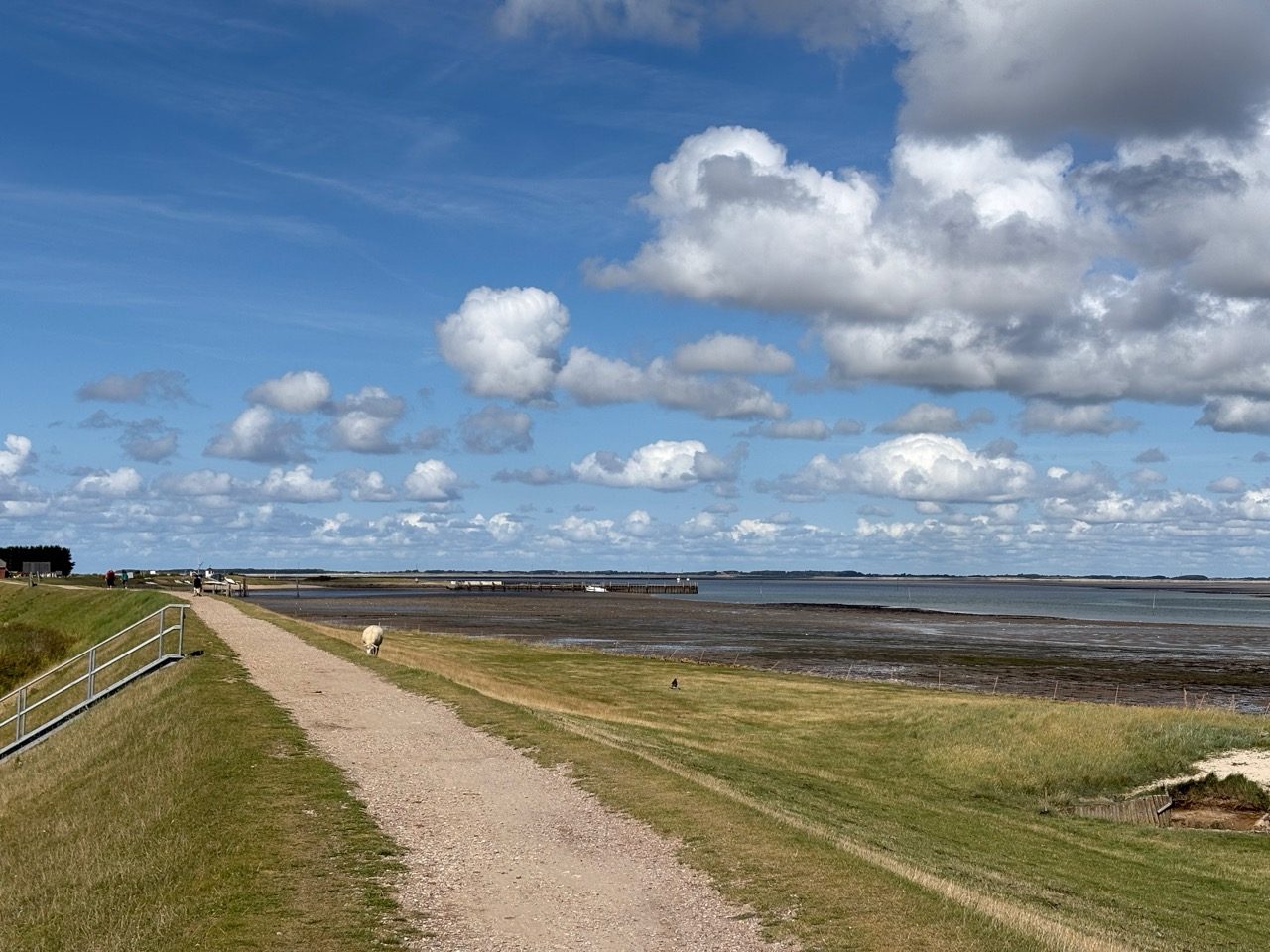 Fahrradtour Amrum: Amrum-Rundtour: Einmal um die Insel – vom Fähranleger über Steenodde, Nebel und Norddorf zum Leuchtturm
