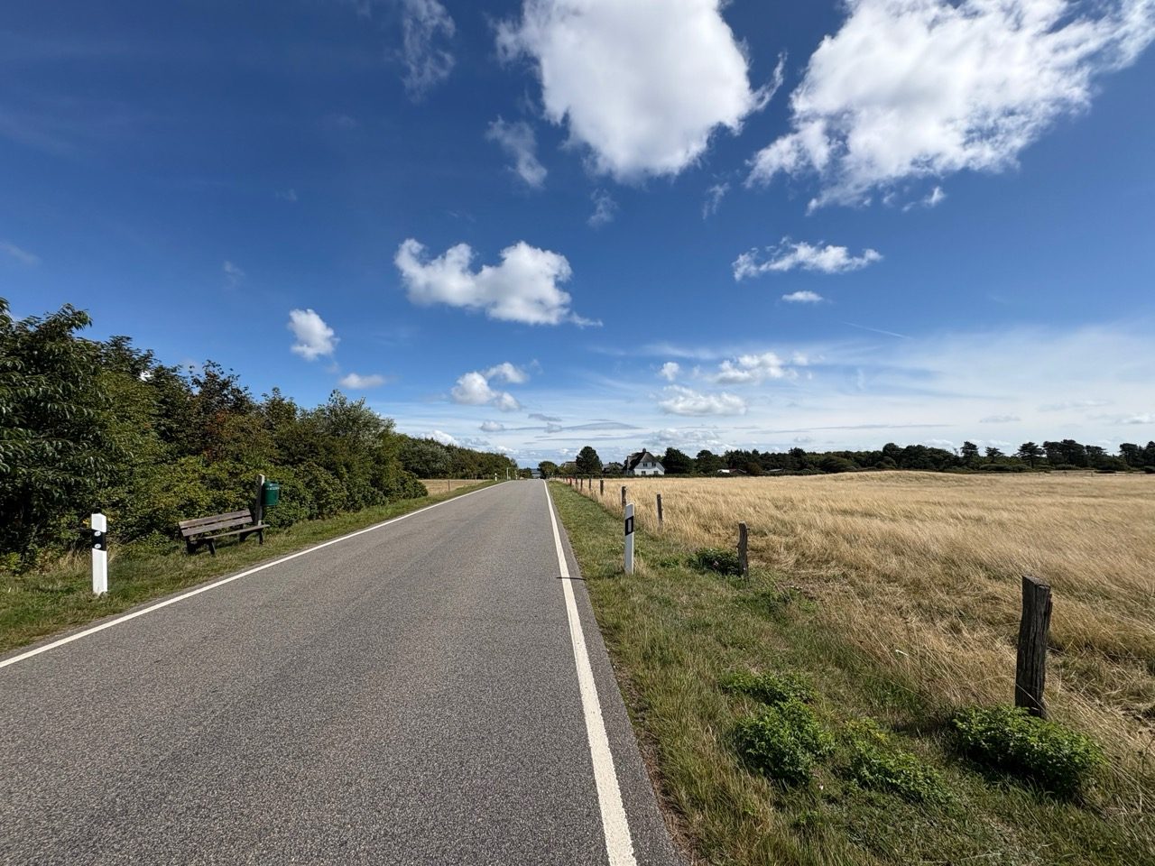 Fahrradtour Amrum: Wattseiten-Tour: Von Süddorf über Steenodde am Deich entlang nach Wittdün