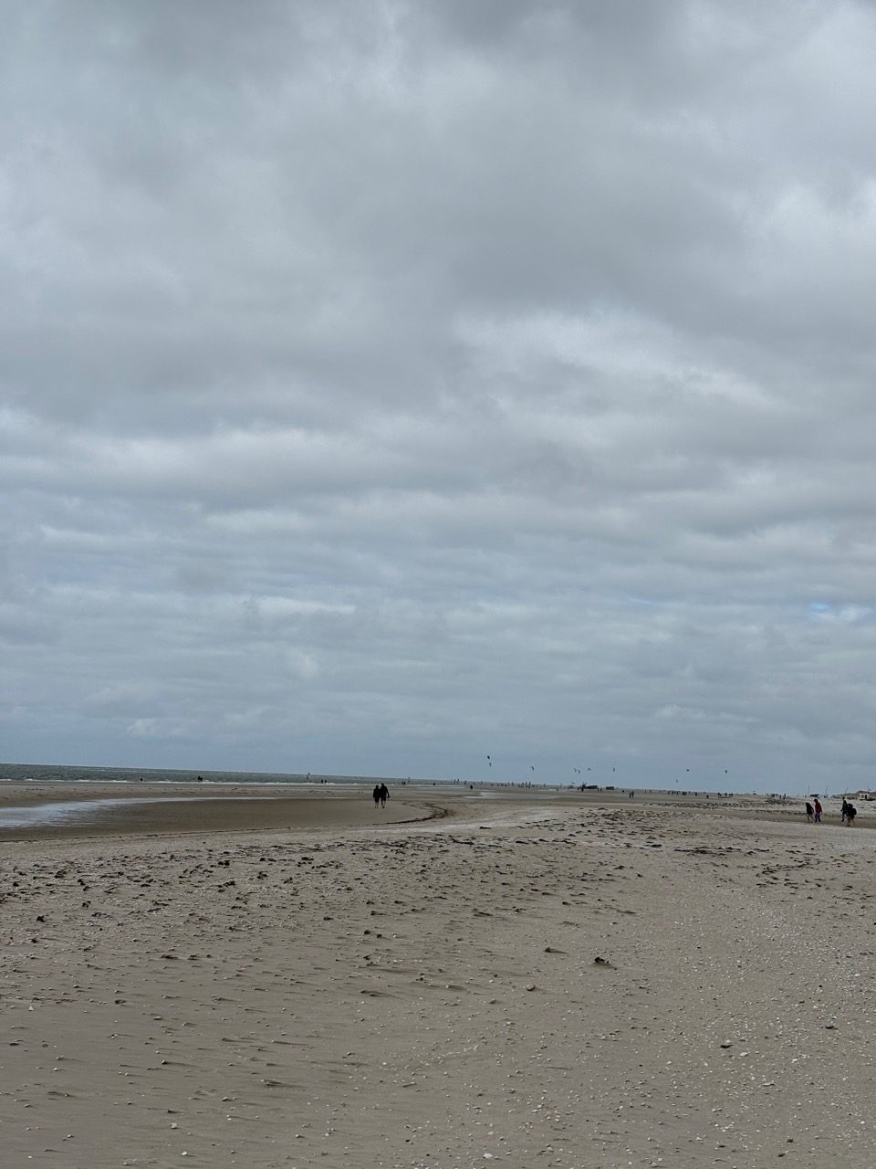 Kite- und Windsurfer.