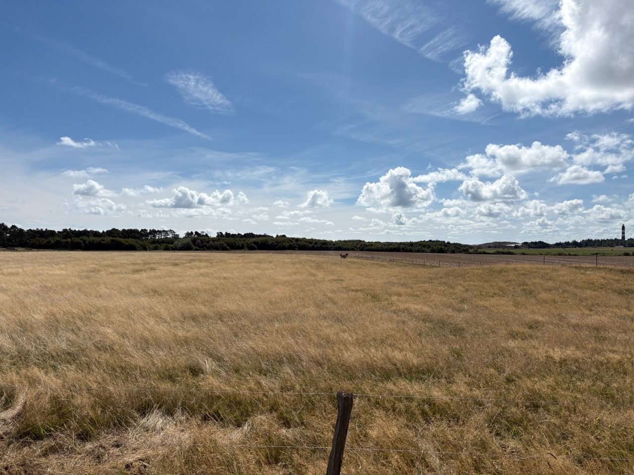 Fahrradtour Amrum: Wattseiten-Tour: Von Süddorf über Steenodde am Deich entlang nach Wittdün
