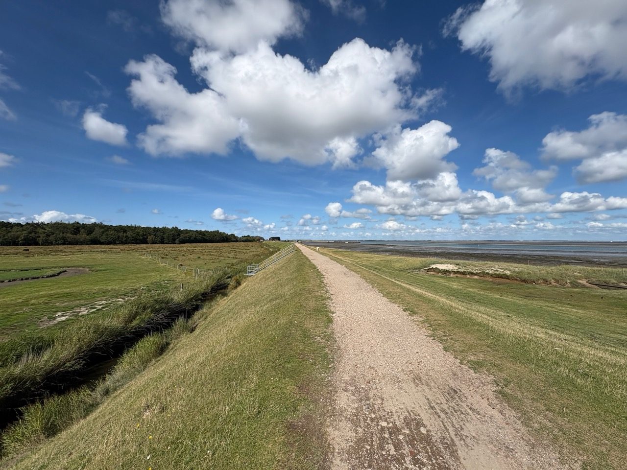 Fahrradtour Amrum: Amrum-Rundtour: Einmal um die Insel – vom Fähranleger über Steenodde, Nebel und Norddorf zum Leuchtturm
