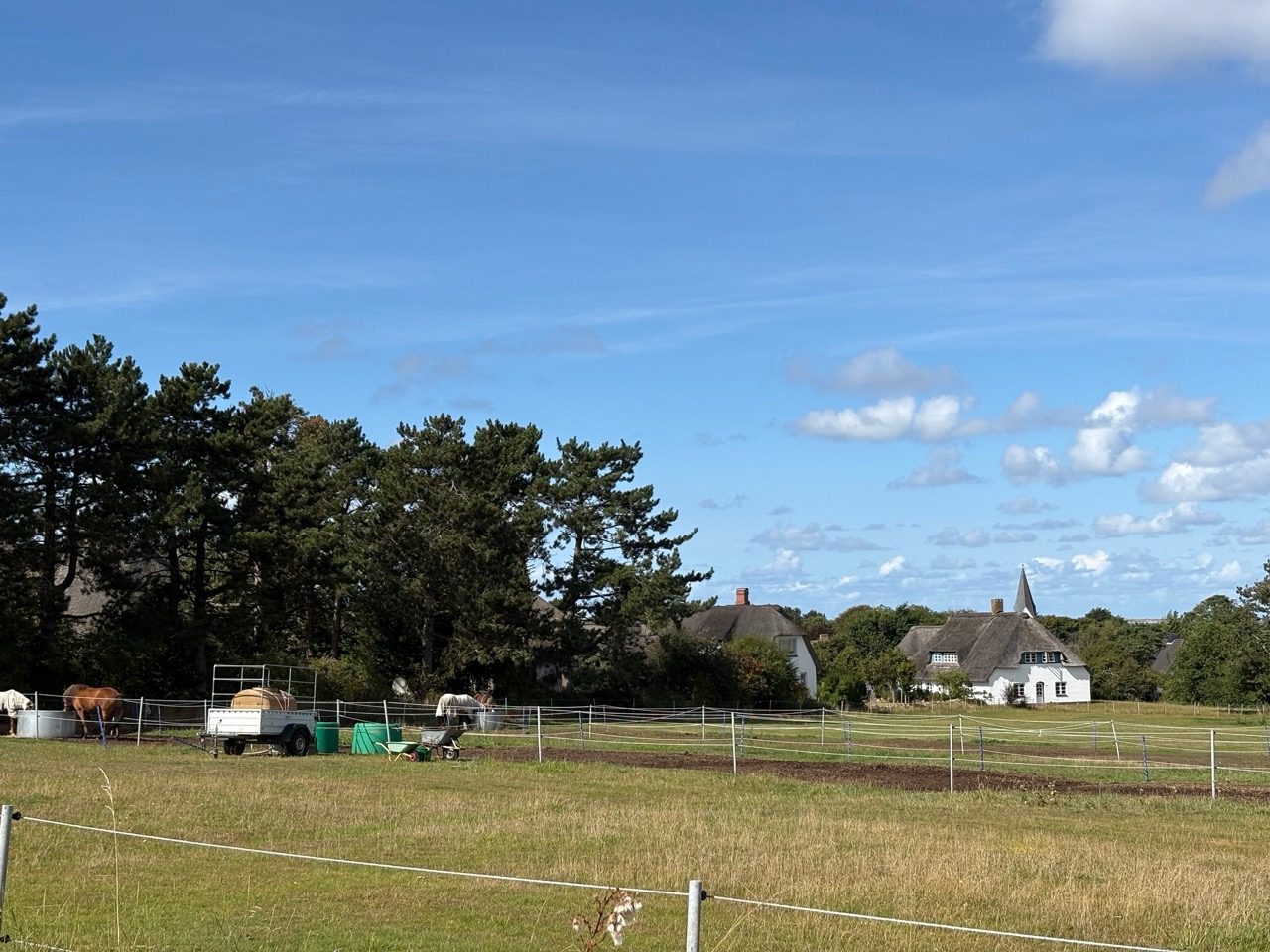 Fahrradtour Amrum: Amrum-Rundtour: Einmal um die Insel – vom Fähranleger über Steenodde, Nebel und Norddorf zum Leuchtturm