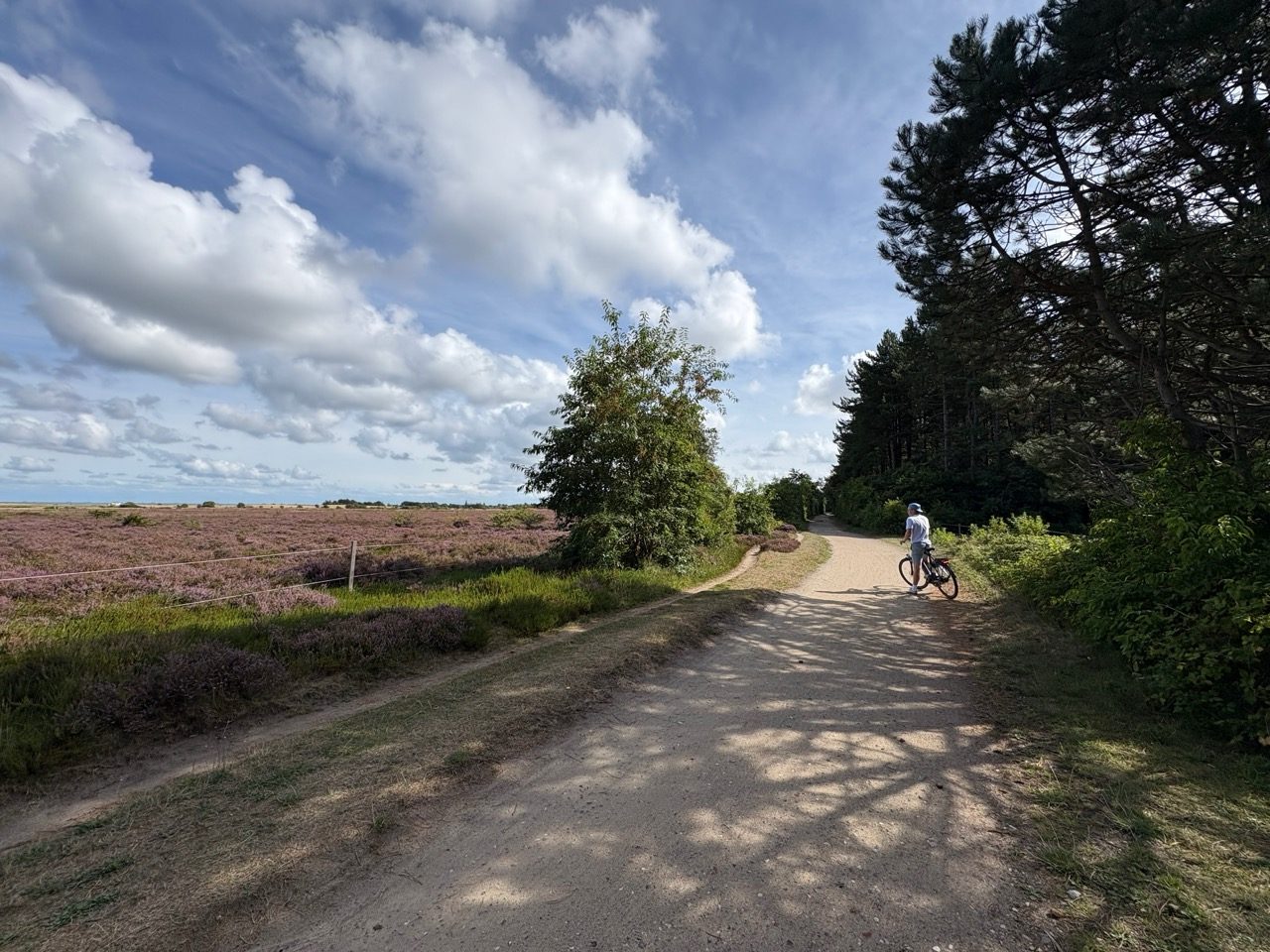 Fahrradtour Amrum: Amrum-Rundtour: Einmal um die Insel – vom Fähranleger über Steenodde, Nebel und Norddorf zum Leuchtturm