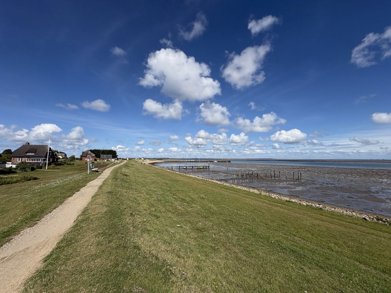 Fahrradtour Amrum: Wattseiten-Tour: Von Süddorf über Steenodde am Deich entlang nach Wittdün