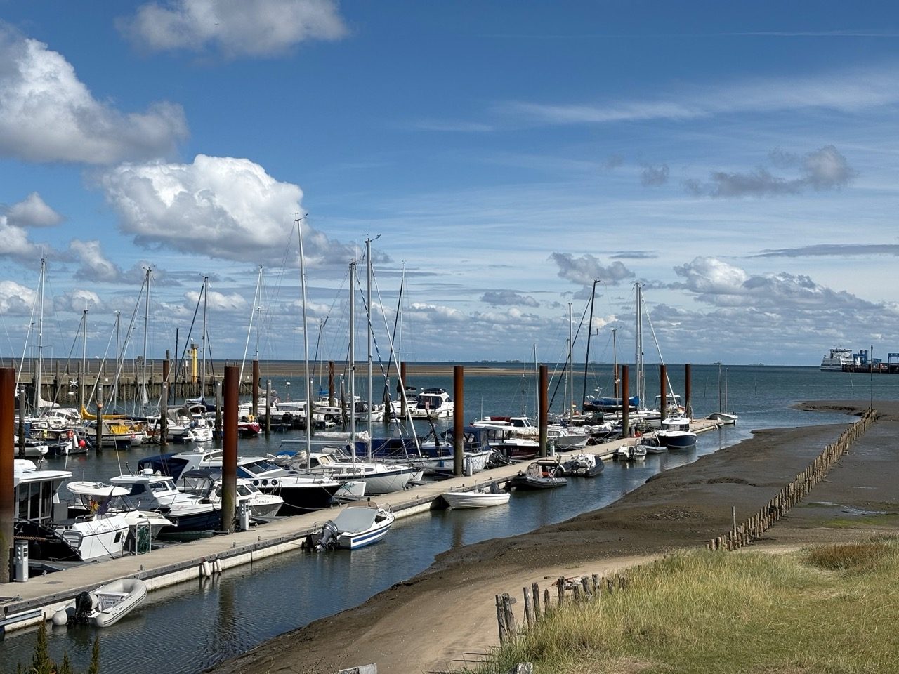 Fahrradtour Amrum: Wattseiten-Tour: Von Süddorf über Steenodde am Deich entlang nach Wittdün