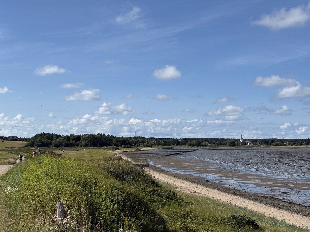 Fahrradtour Amrum: Amrum-Rundtour: Einmal um die Insel – vom Fähranleger über Steenodde, Nebel und Norddorf zum Leuchtturm