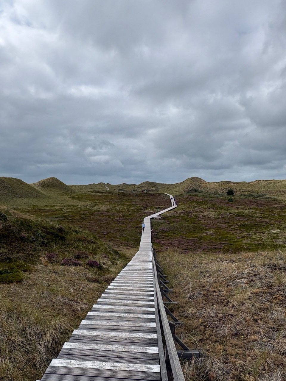 weiter durch die Dünen
