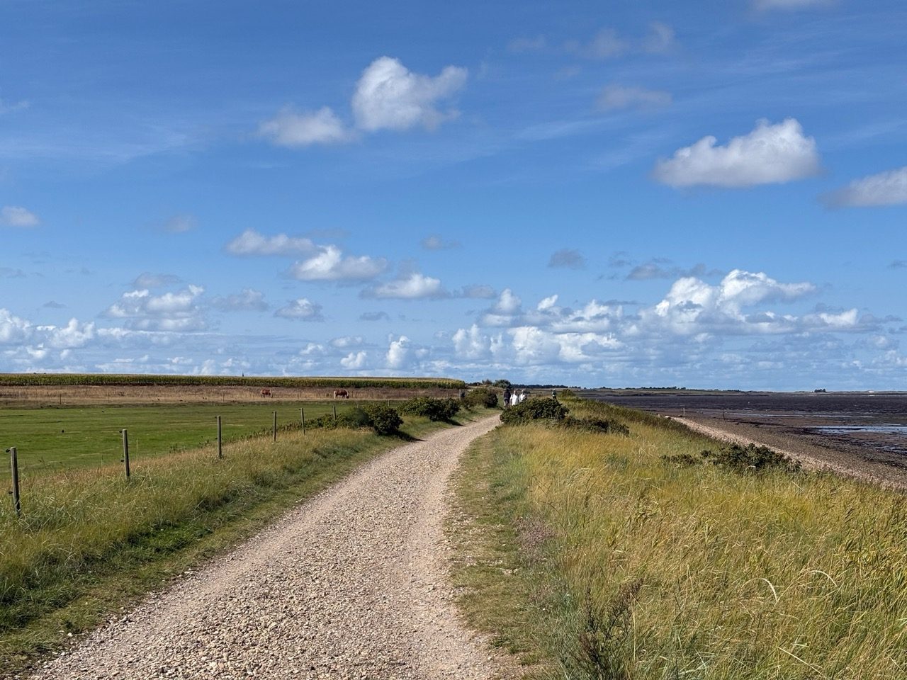 Fahrradtour Amrum: Amrum-Rundtour: Einmal um die Insel – vom Fähranleger über Steenodde, Nebel und Norddorf zum Leuchtturm