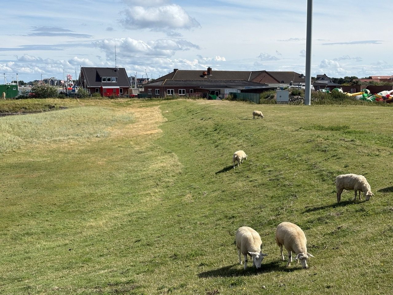 Fahrradtour Amrum: Wattseiten-Tour: Von Süddorf über Steenodde am Deich entlang nach Wittdün